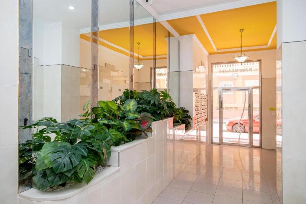 Bonito Apartamento En トレビエハ エクステリア 写真